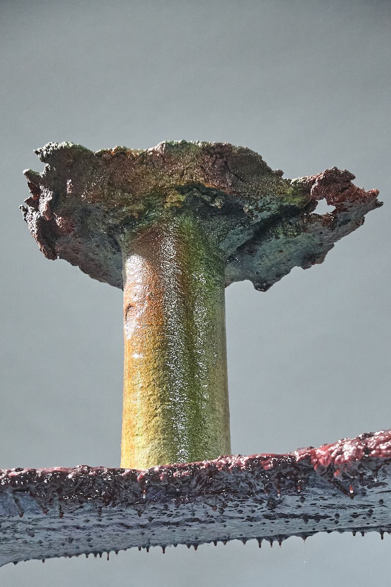Arena A008, vase, by Maarten Alexander. Photo 11 of 11.